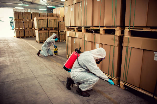 Best Insect Control  in Harvey, MI