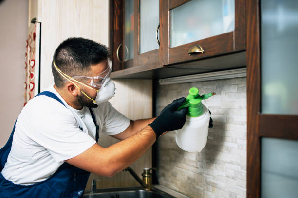 Best Exterminator Services  in Harvey, MI