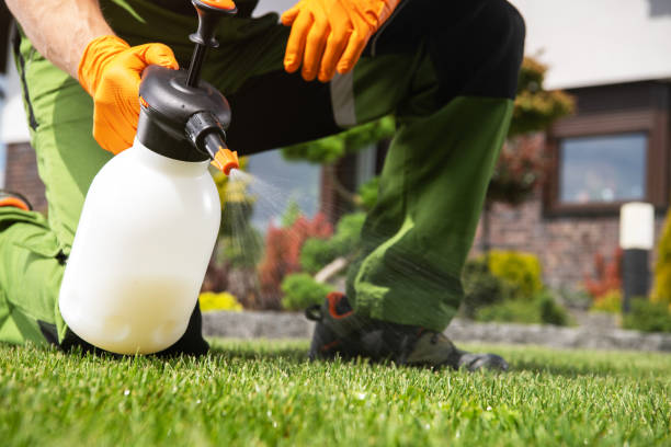 Best Residential Pest Control  in Harvey, MI