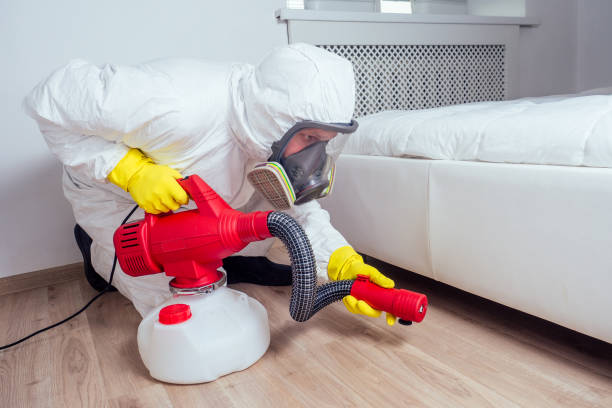 Best Local Pest Control Services  in Harvey, MI