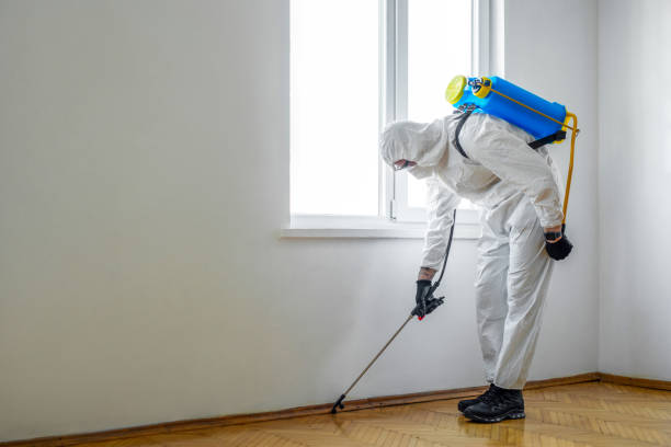 Best Affordable Pest Control Services  in Harvey, MI