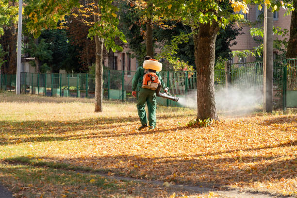 Best Bird Control  in Harvey, MI