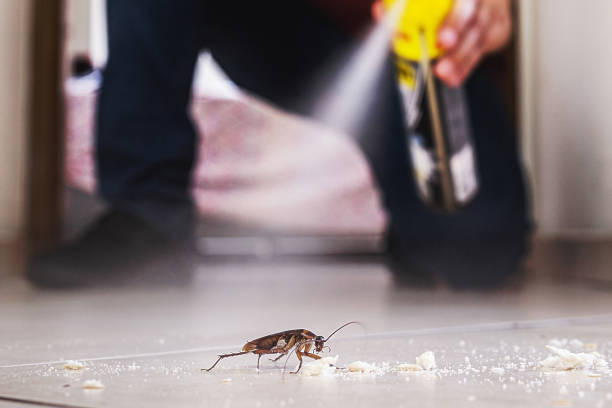 Best Pest Control Near Me  in Harvey, MI