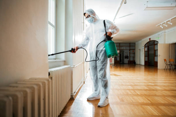 Best Termite Control Services  in Harvey, MI