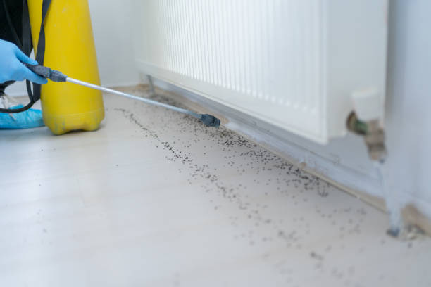 Best Wildlife Control Services  in Harvey, MI