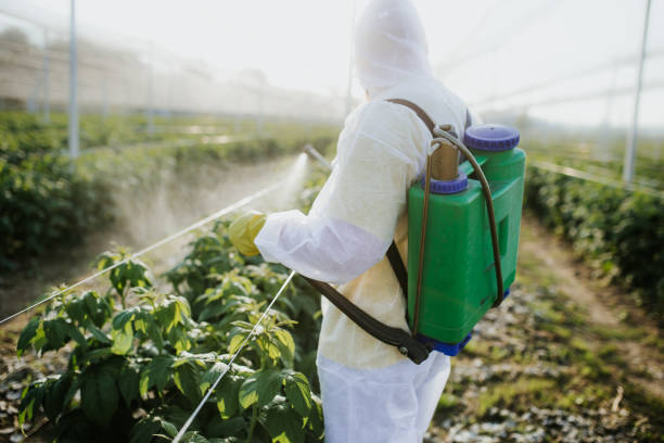 Pest Prevention Services in Harvey, MI
